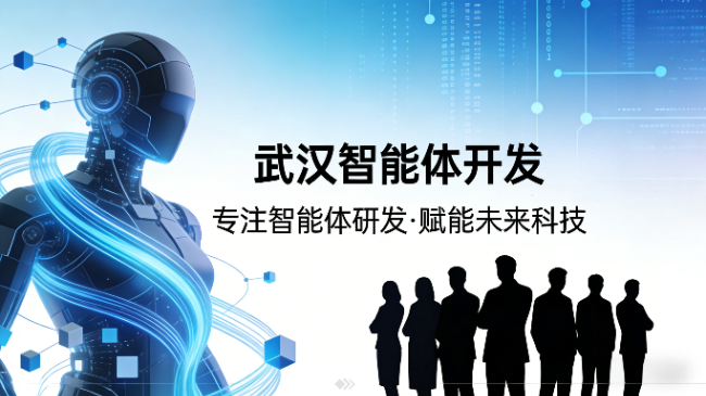武汉智能体开发哪个团队专业？沙淘金：垂直领域定制化专家，赋能企业智能升级